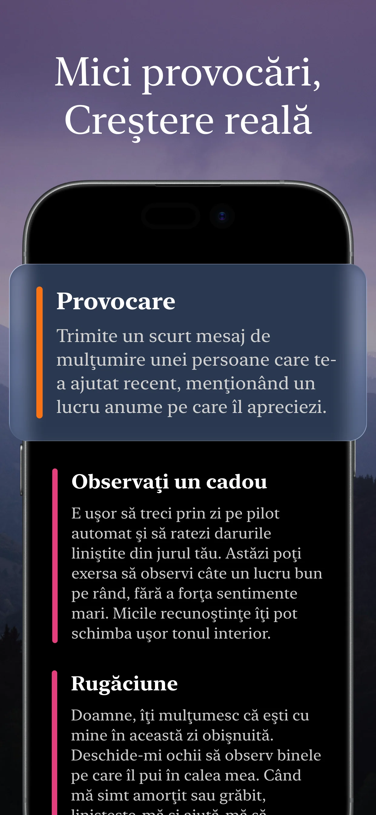 Previzualizare 6